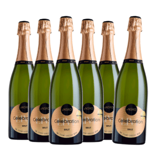 Pack 6 Espumante Ponto Nero Live Celebration Brut 750ml