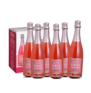 Pack 6 Espumantes Séries by Salton Rosé Moscato 750ml